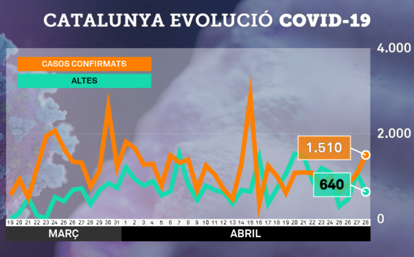 Covidtv33
