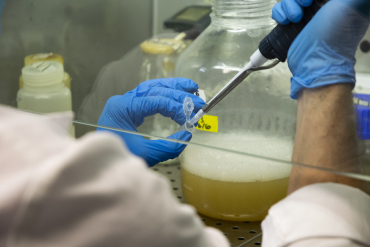 ​El CSIC ya tiene a punto una de sus vacunas contra el coronavirus
