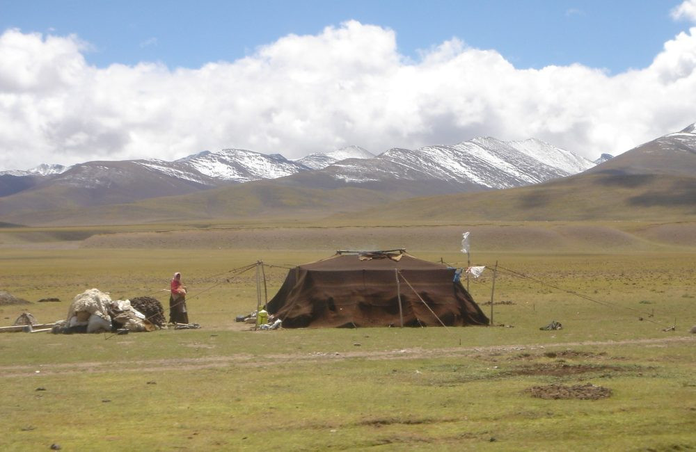 Nomadas   Mongolia