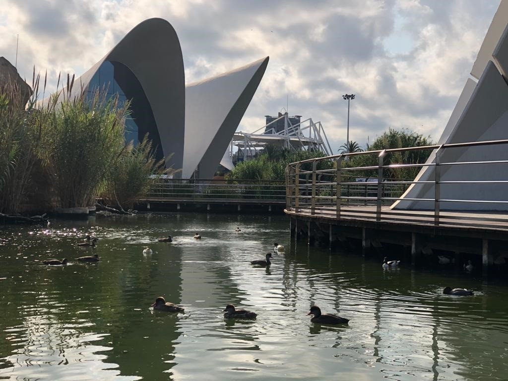 Instalaciones del Oceanogràfic de València este sábado, tras el incendio en un cuadro eléctrico