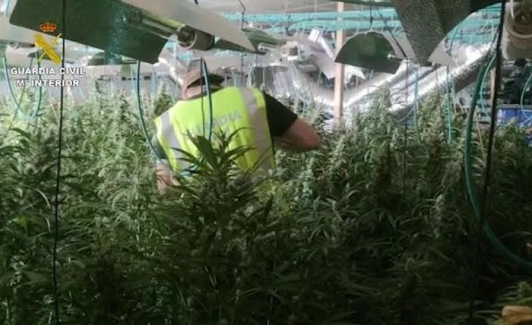 Desarticulada en Tarragona una red de narcotráfico que escondía el dinero en un horno de cocina