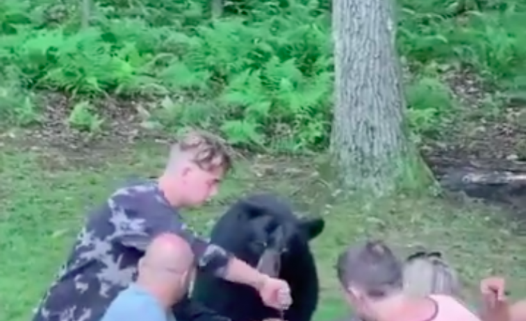 Un oso se sienta a merendar con una familia y estos le ofrecen un sandwich de mantequilla de cacahuete
