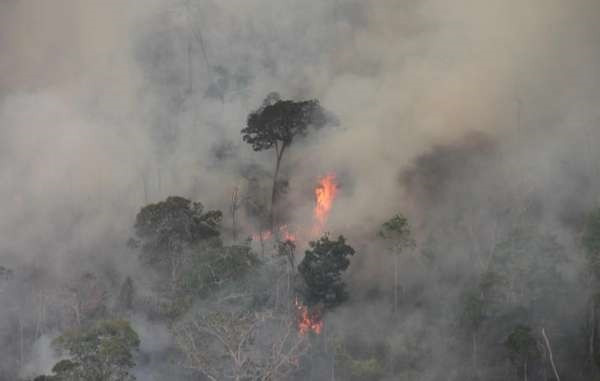 Fuego en el Amazonas