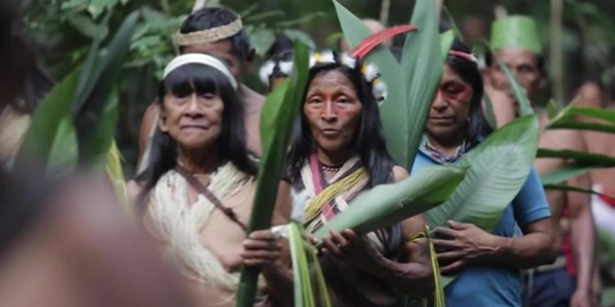 INDIGENAS amazonia