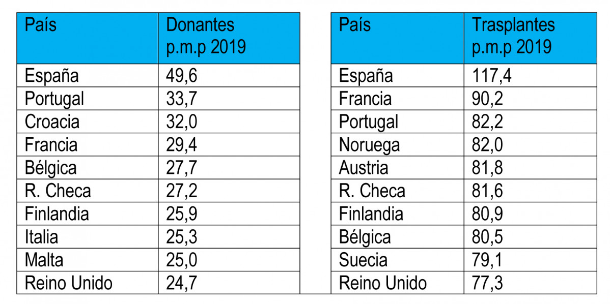 TRANSPLANTES 4