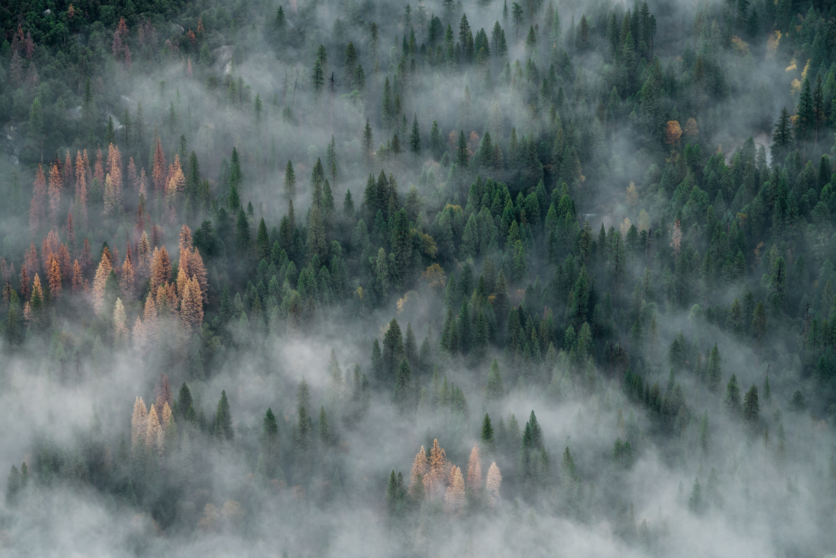 John towner 89PFnHKg8HE unsplash