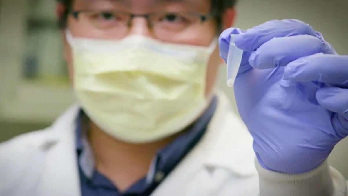 Hallan una molécula capaz de neutralizar al coronavirus