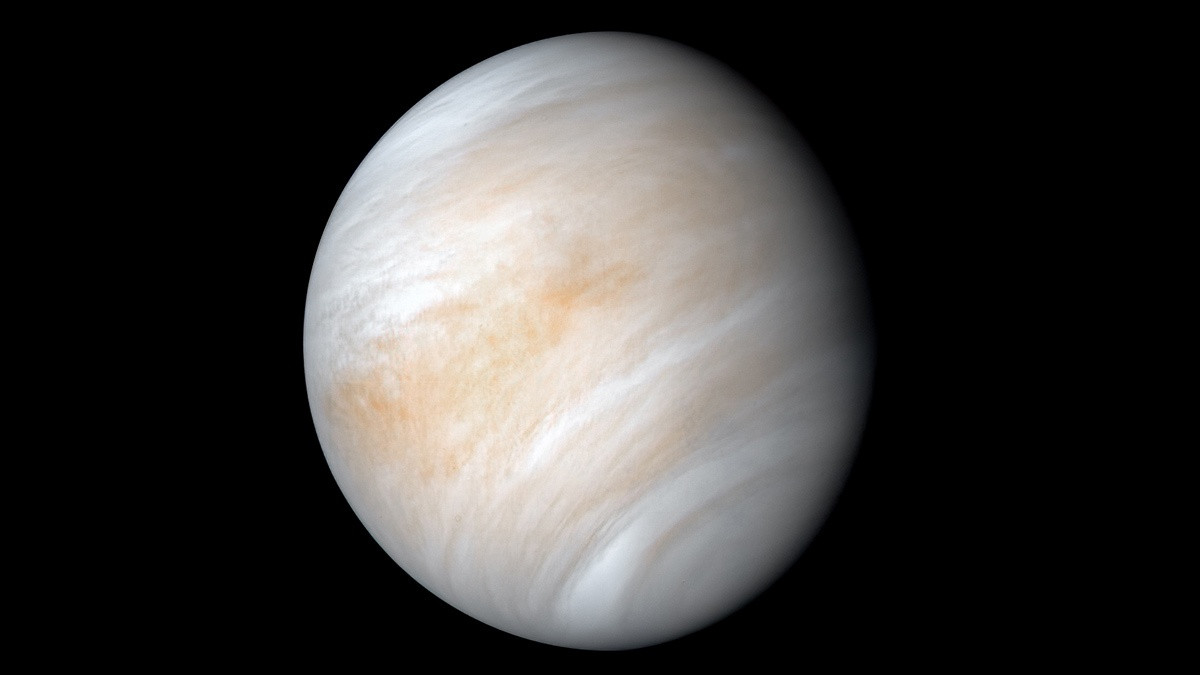 Venus (1)