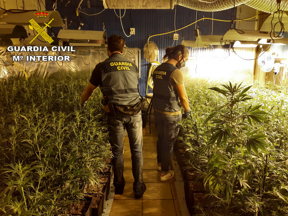 EuropaPress 3333255 treintena detenidos trafico internacional marihuana catalunya