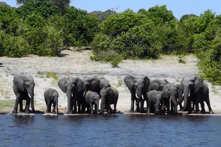 Localizado el punto “G” en el África Austral
