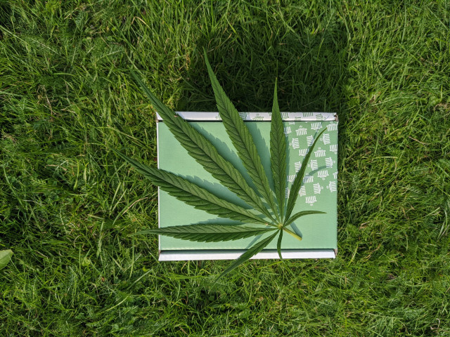 HerbadeaberlincRjP2749AL4unsplash