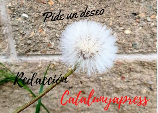 Catalunyapress TE INFORMA