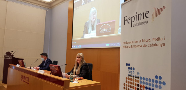 PresentaciInformeFepime