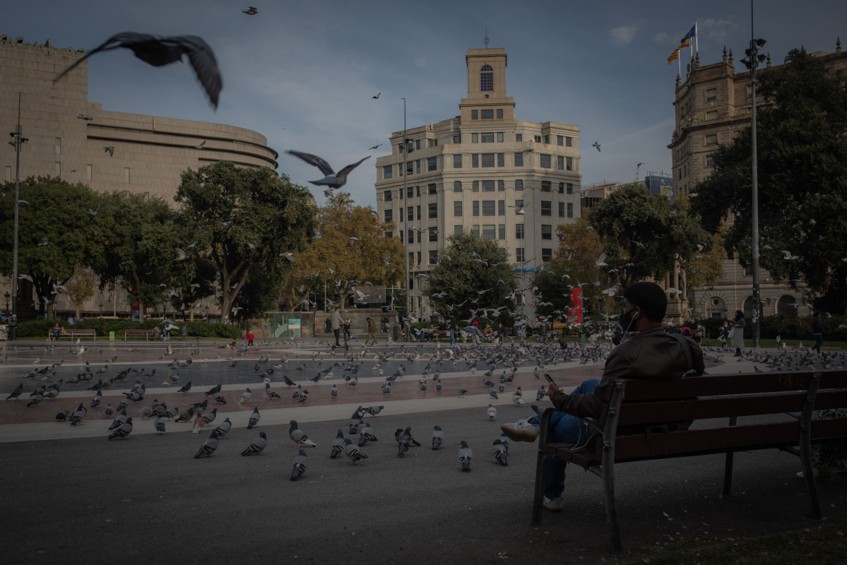 EuropaPress 3435746 hombre sentado banco plaza catalunya barcelona catalunya espana 16