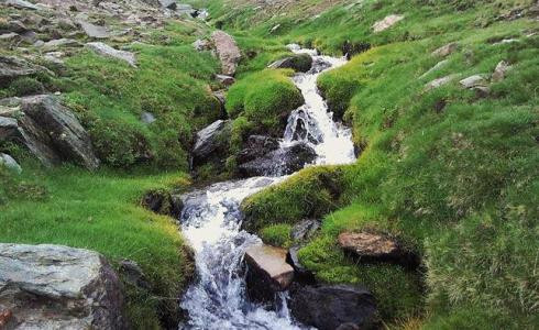 Científicos analizan el rol de las plantas y microorganismos en la depuración de los ríos