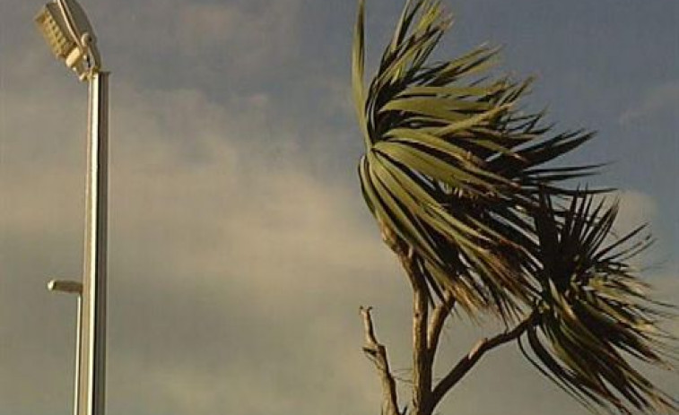 El episodio de viento en Catalunya deja 323 avisos al 112 hasta las 9.00