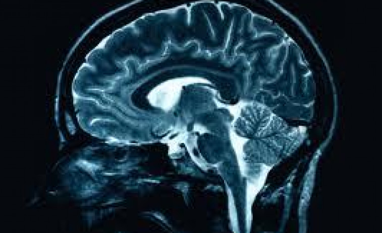 Logran por primera vez llevar fármacos hasta el centro de un tumor cerebral