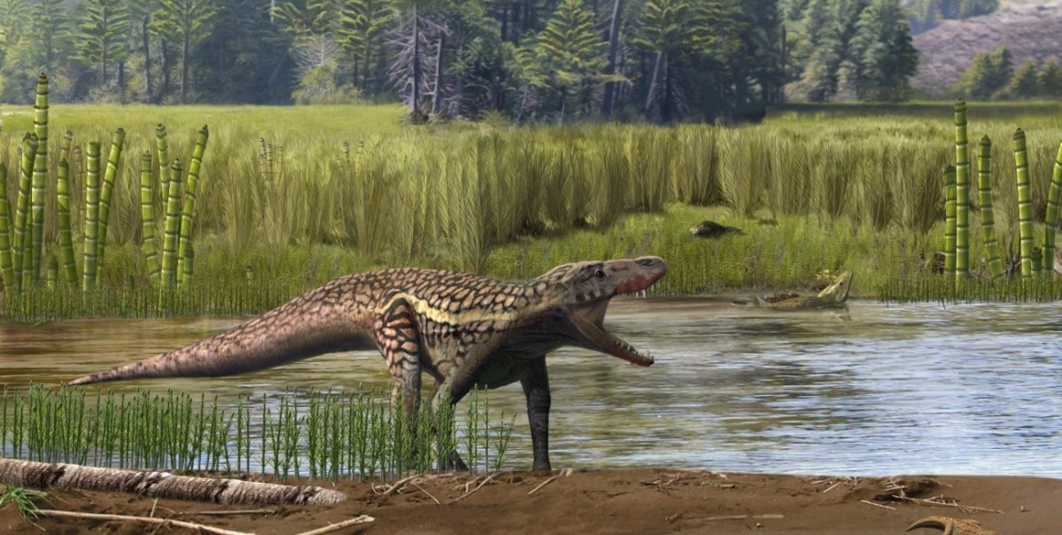 Recreación de un arcosaurio