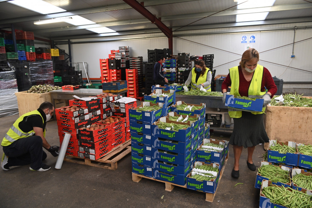 Banc d'Aliments Mercabarna