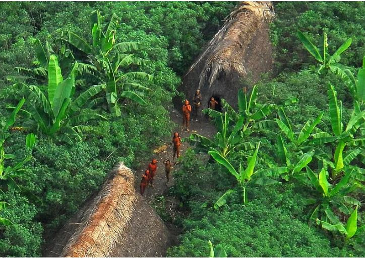 Amazonas