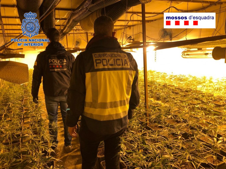 Macroperación de Mossos y Polícia Nacional contra la red criminal 