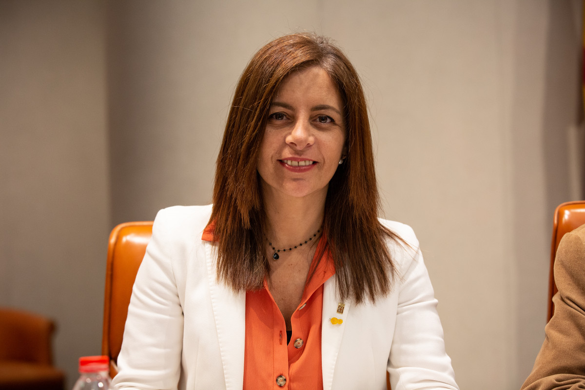 Archivo - La presidenta del ICD, Laura Martínez (Archivo)