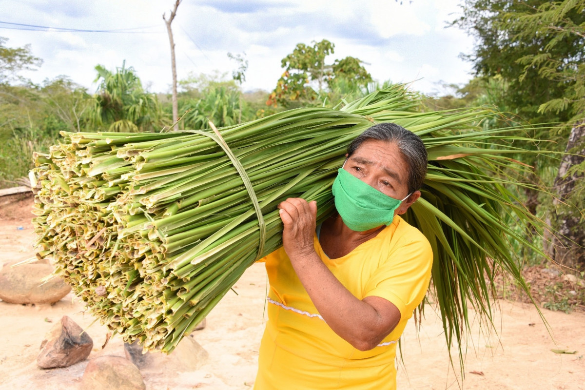 Fundación Microfinanzas BBVA (FMBBVA) ayuda a cientos de miles de mujeres para que salgan adelante con pequeños negocios en América Latina