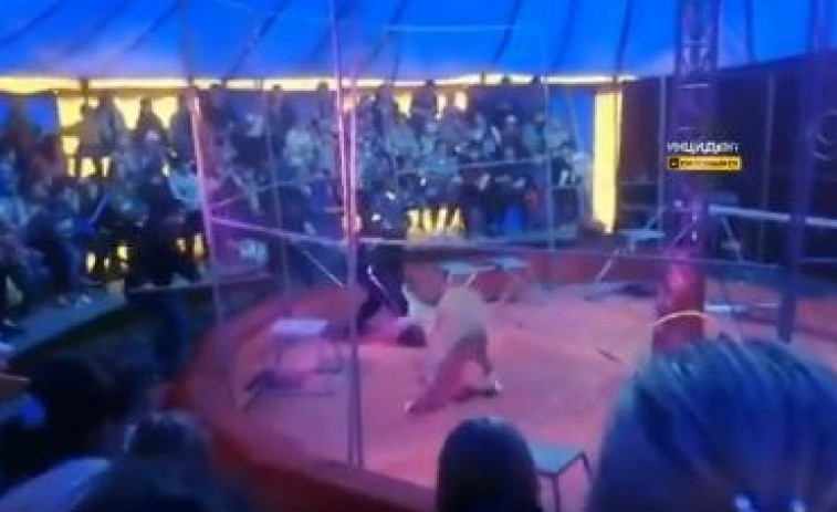 VÍDEO: Dos leonas atacan a un domador en un circo ambulante