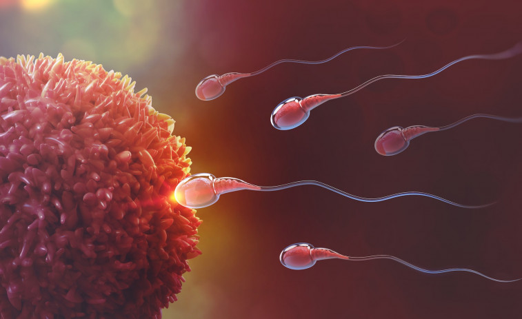 El 20% de la población española tiene problemas de fertilidad