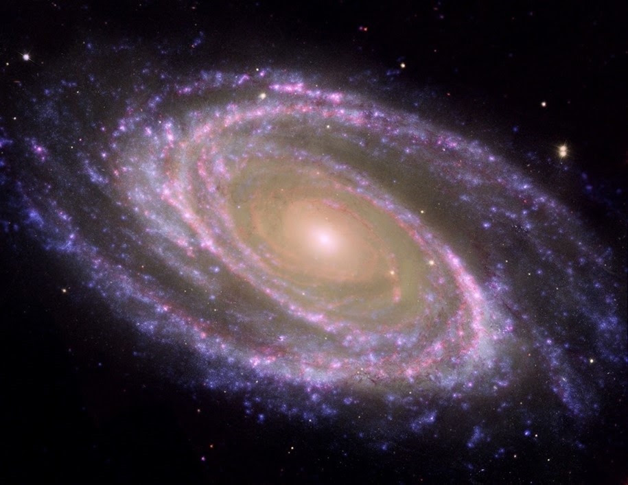 Ejemplo de galaxia espiral cercana, M81, donde se identifica fácilmente el bulbo, la parte central más rojiza, y el disco, plagado de zonas donde se forman estrellas actualmente y aparecen como regi
