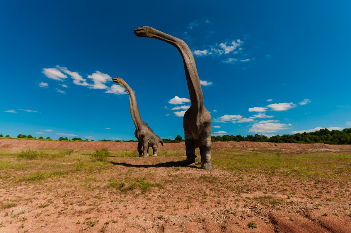 Dinosaur 958011 1920