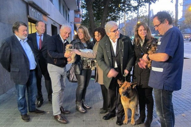 Sánchez Llibre: 