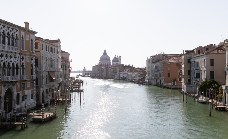 VIDEO | : El delfín Mimmo  que no se va de Venecia y preocupa a biólogos