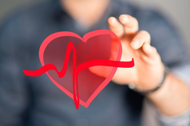 ¿Qué relación hay entre la percepción del tiempo y los latidos del corazón?