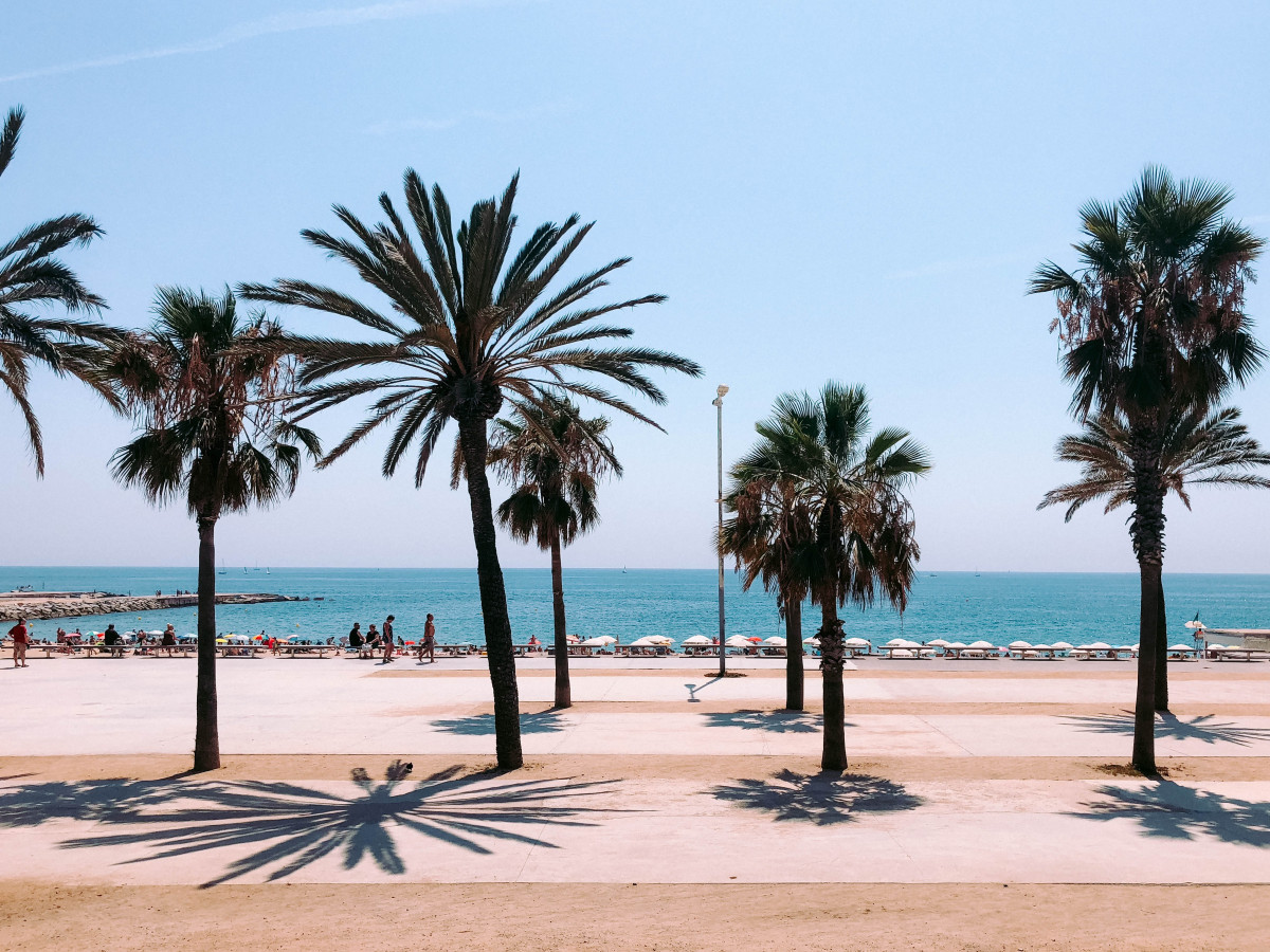 Lucrezia carnelos BG8TvW6NYYw unsplash