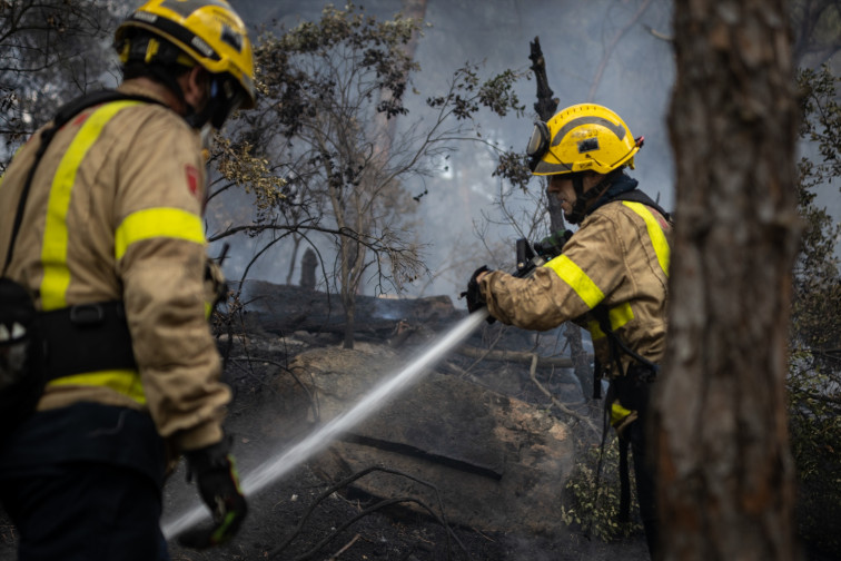 Interior advierte que 6 de cada 10 incendios de este verano en Catalunya han sido causados por la actividad humana