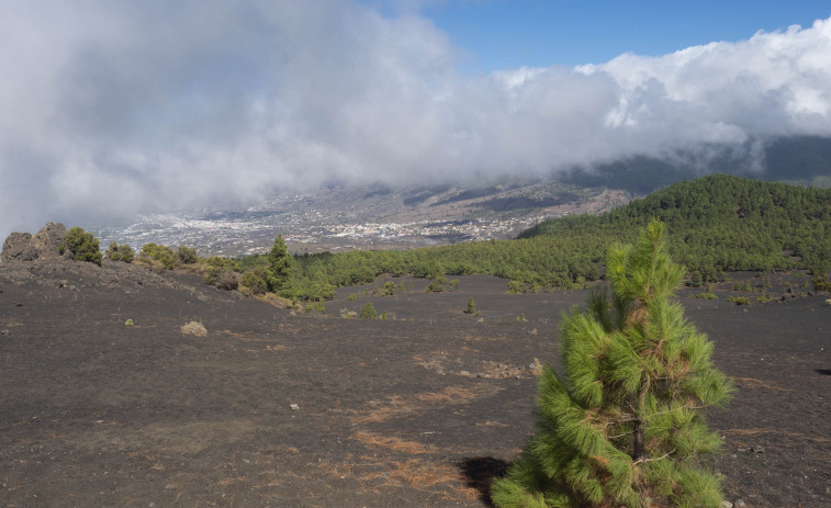 ¿Cuánto puede durar la erupción del 'Cumbre Vieja'?