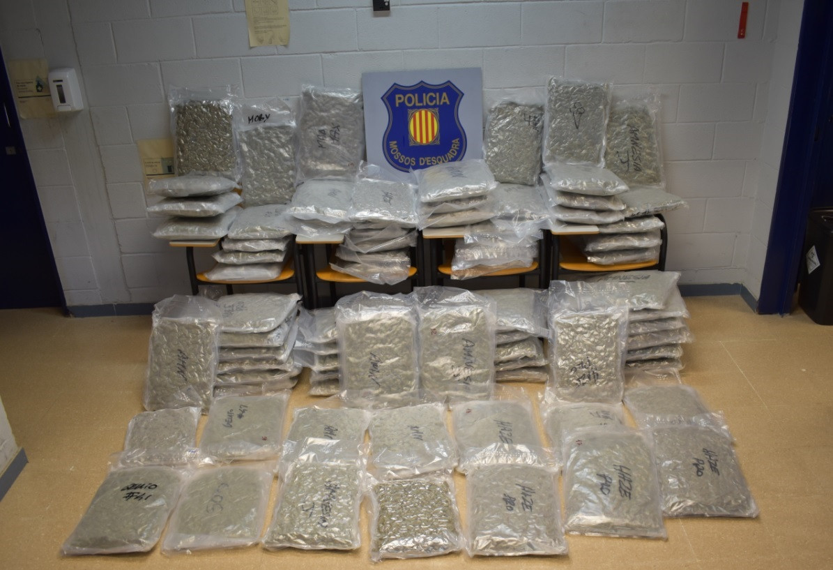 Los 86 kilos de marihuana localizada.