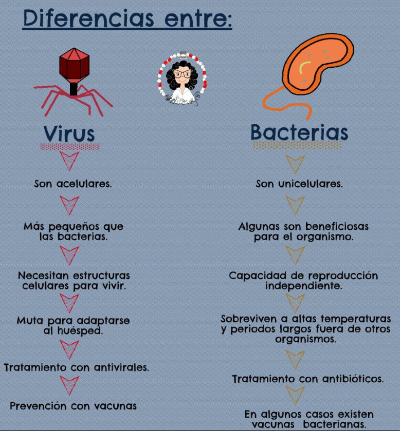 Virus y bacterias