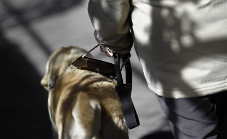 Los perros guía de la ONCE mostrarán en Santa Coloma de Gramanet cómo ayudan a las personas ciegas