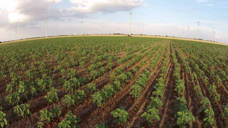 Fusión entre el Grup Fruiter Benissanet y la Cooperativa Agrícola Sant Jaume de Benissanet