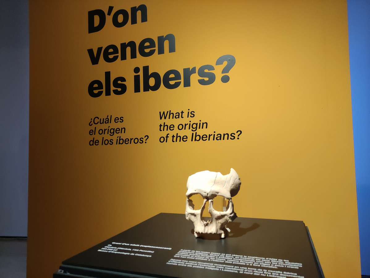 EuropaPress 4192347 restos craneo ibero exposicion lenigma iber arqueologia duna civilitzacio