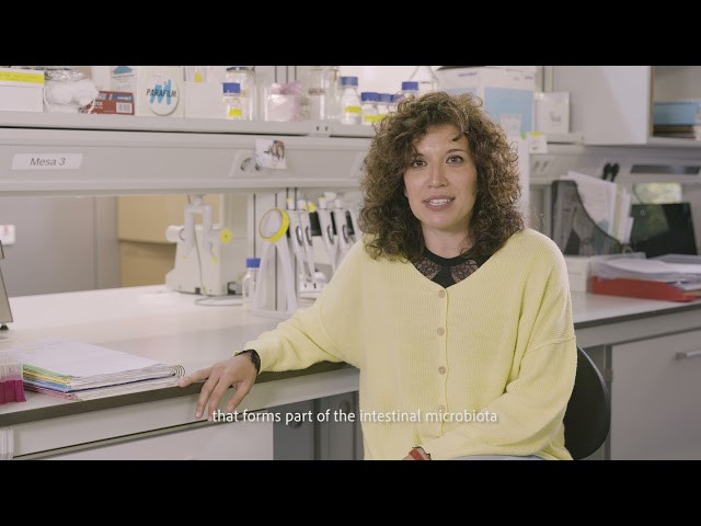 Descubierta una bacteria que podría servir para tratar la diabetes tipo II