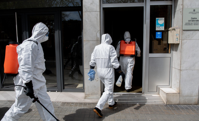 Virus Nipah en India: nuevos detalles de la OMS sobre un brote misterioso