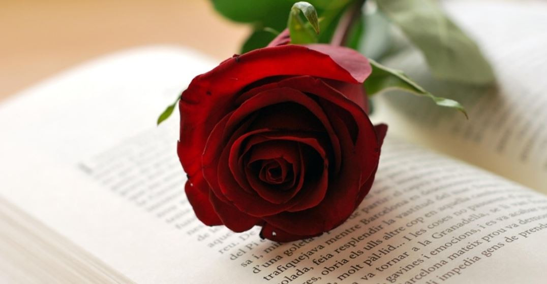 LIBROS