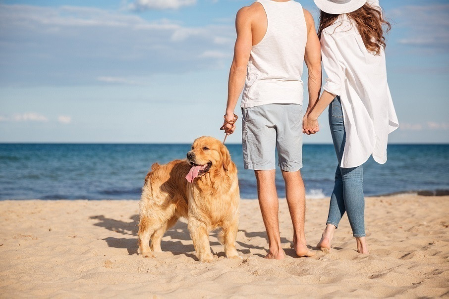 EuropaPress 2266460 pareja paseando perro orilla mar