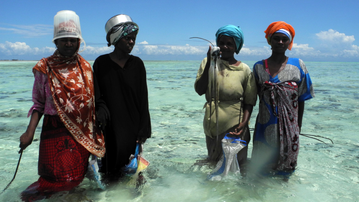 9 pescadoras