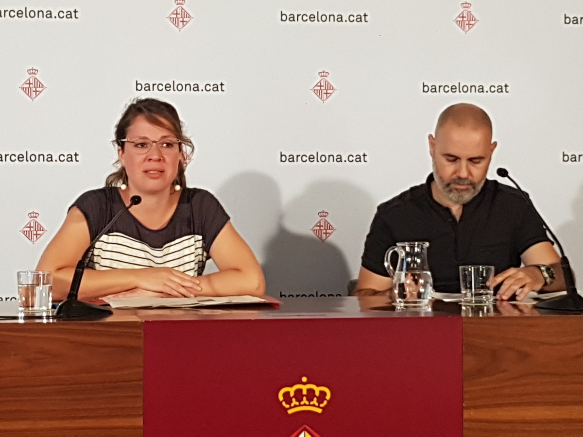 EuropaPress 1697788 energia renovable  gobierno colau pide sanchez modificar reforma pp