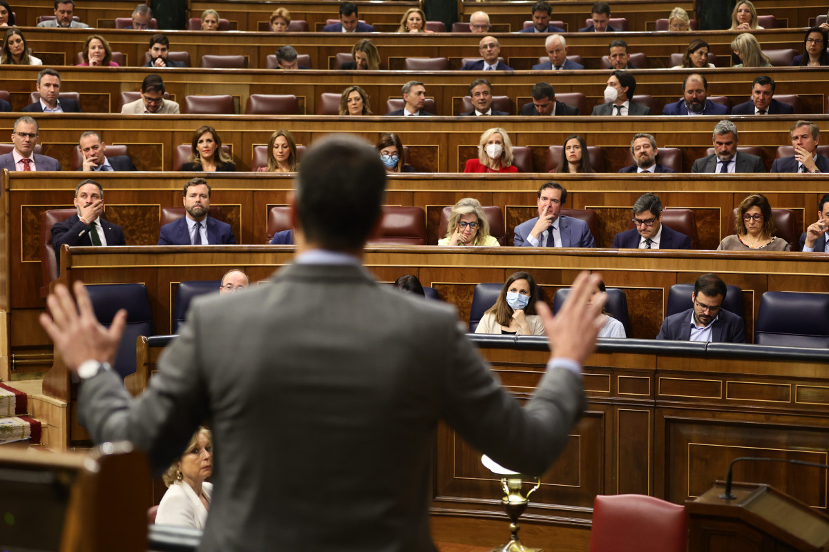 El presidente del Gobierno, Pedro Sánchez, interviene en una sesión de control, en el Congreso de los Diputados