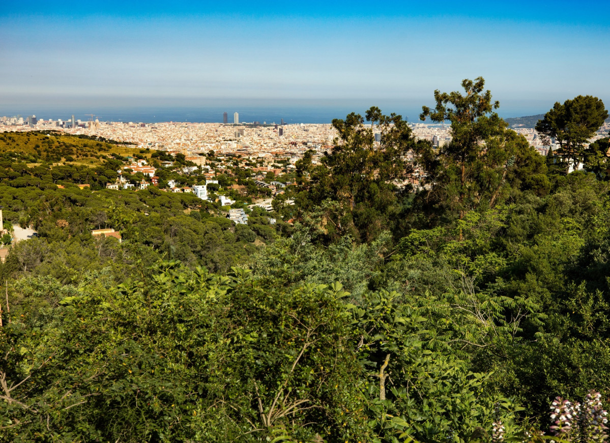 EuropaPress 4337365 vista panoramica barcelona des parc natural serra collserola